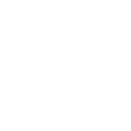 Fundacion