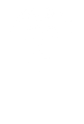TIC